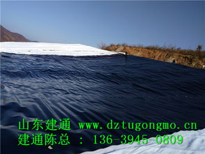 專業(yè)高效，品質(zhì)信賴 探訪江西復合土工布工廠直銷與山東建通建材加工服務